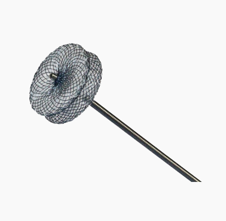 佰仁思® 室间隔缺损封堵器