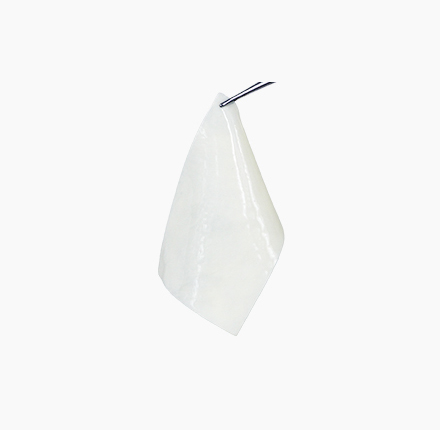 佰仁思® 硬脑(脊)膜生物补片