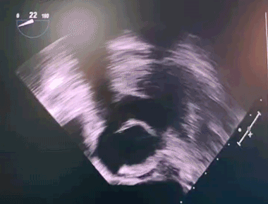 亚洲色欲色欲大片WWW无码