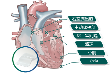 亚洲色欲色欲大片WWW无码