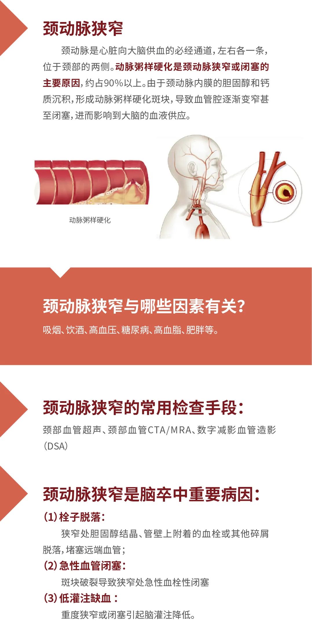 亚洲色欲色欲大片WWW无码